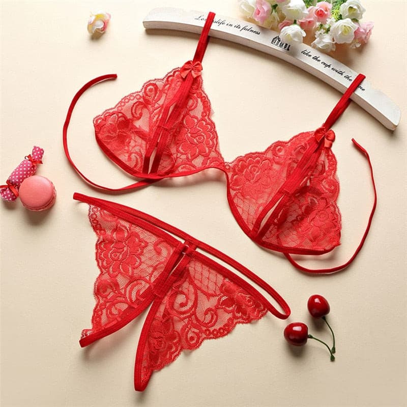 Lingerie Women Push Up With Lace Straps Transparent Bra Panties Embroidered See Through 2 Nique's Creation