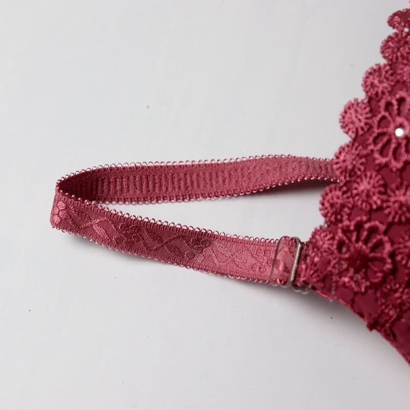 Women Embroidered Bra 80B 85B 90B 95B Femme Lingerie Sexy Padded Bra Three Hooks Underwire Underwear Bow Brassiere 2 Nique's Creation